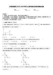 天津滨海新区2023-2024学年九上数学期末质量检测模拟试题含答案