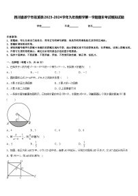 四川省遂宁市蓬溪县2023-2024学年九年级数学第一学期期末考试模拟试题含答案