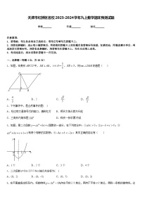 天津市红桥区名校2023-2024学年九上数学期末预测试题含答案