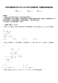 天津市河西区梅江中学2023-2024学年九年级数学第一学期期末联考模拟试题含答案