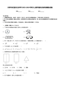 天津市河北区红光中学2023-2024学年九上数学期末达标检测模拟试题含答案