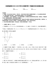 安徽淮南寿县2023-2024学年九年级数学第一学期期末综合测试模拟试题含答案