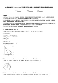 安徽界首地区2023-2024学年数学九年级第一学期期末学业质量监测模拟试题含答案