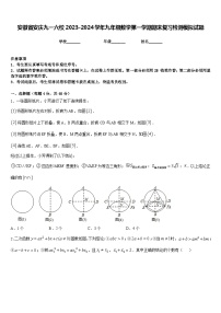 安徽省安庆九一六校2023-2024学年九年级数学第一学期期末复习检测模拟试题含答案