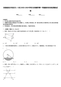 安徽省安庆市安庆九一六校2023-2024学年九年级数学第一学期期末综合测试模拟试题含答案