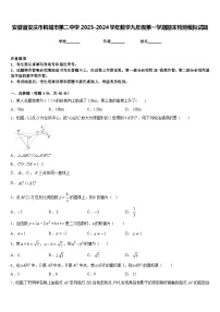 安徽省安庆市桐城市第二中学2023-2024学年数学九年级第一学期期末检测模拟试题含答案