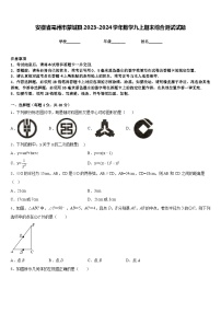 安徽省亳州市蒙城县2023-2024学年数学九上期末综合测试试题含答案