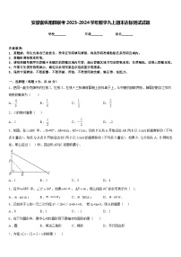 安徽省枞阳县联考2023-2024学年数学九上期末达标测试试题含答案