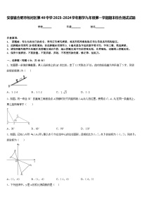 安徽省合肥市包河区第48中学2023-2024学年数学九年级第一学期期末综合测试试题含答案