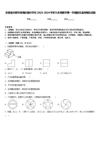 安徽省合肥市瑶海区部分学校2023-2024学年九年级数学第一学期期末监测模拟试题含答案