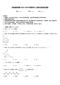 安徽省舒城县2023-2024学年数学九上期末达标测试试题含答案