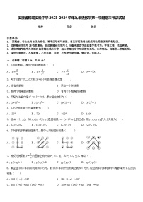 安徽省桐城实验中学2023-2024学年九年级数学第一学期期末考试试题含答案