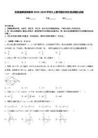 安徽省濉溪县联考2023-2024学年九上数学期末综合测试模拟试题含答案