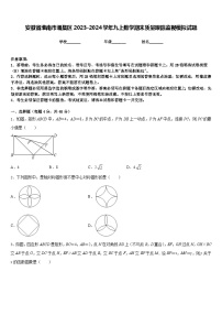 安徽省淮南市潘集区2023-2024学年九上数学期末质量跟踪监视模拟试题含答案