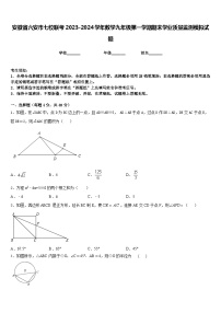 安徽省六安市七校联考2023-2024学年数学九年级第一学期期末学业质量监测模拟试题含答案