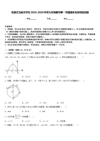 安徽无为尚文学校2023-2024学年九年级数学第一学期期末质量检测试题含答案