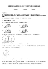 安徽省芜湖市南陵县2023-2024学年数学九上期末经典模拟试题含答案