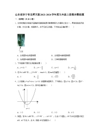 山东省济宁市2023-2024学年北师大版九年级数学上册期末模拟题(含解析)