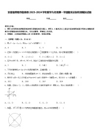 安徽省阜阳市临泉县2023-2024学年数学九年级第一学期期末达标检测模拟试题含答案