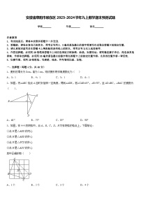 安徽省阜阳市颍东区2023-2024学年九上数学期末预测试题含答案