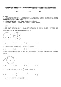 安徽省阜阳市颍州区2023-2024学年九年级数学第一学期期末质量检测模拟试题含答案