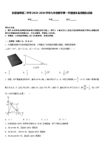 安徽省郎溪二中学2023-2024学年九年级数学第一学期期末监测模拟试题含答案