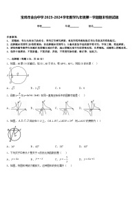 宝鸡市金台中学2023-2024学年数学九年级第一学期期末检测试题含答案