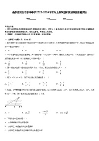 山东省安丘市东埠中学2023-2024学年九上数学期末质量跟踪监视试题含答案