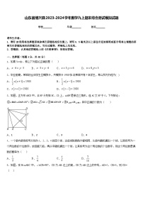 山东省博兴县2023-2024学年数学九上期末综合测试模拟试题含答案