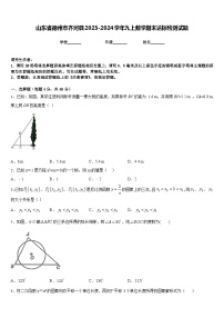 山东省德州市齐河县2023-2024学年九上数学期末达标检测试题含答案