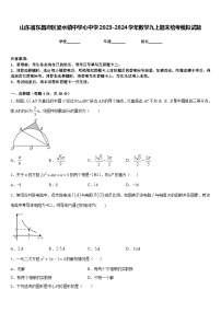 山东省东昌府区梁水镇中学心中学2023-2024学年数学九上期末统考模拟试题含答案