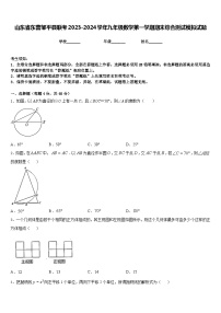 山东省东营邹平县联考2023-2024学年九年级数学第一学期期末综合测试模拟试题含答案