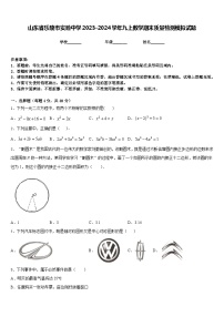 山东省乐陵市实验中学2023-2024学年九上数学期末质量检测模拟试题含答案