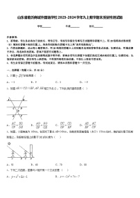 山东省临沂商城外国语学校2023-2024学年九上数学期末质量检测试题含答案