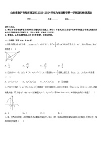 山东省临沂市经济开发区2023-2024学年九年级数学第一学期期末预测试题含答案