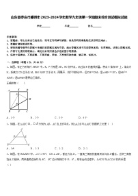 山东省枣庄市滕州市2023-2024学年数学九年级第一学期期末综合测试模拟试题含答案