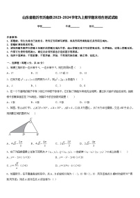 山东省临沂市沂南县2023-2024学年九上数学期末综合测试试题含答案