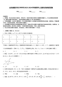 山东省临沂市太平中学2023-2024学年数学九上期末达标测试试题含答案