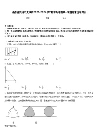 山东省滨州市无棣县2023-2024学年数学九年级第一学期期末统考试题含答案