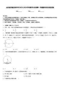 山东省济南实验中学2023-2024学年数学九年级第一学期期末综合测试试题含答案