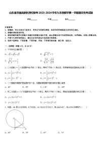 山东省济南高新区四校联考2023-2024学年九年级数学第一学期期末统考试题含答案