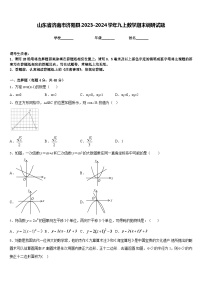 山东省济南市济阳县2023-2024学年九上数学期末调研试题含答案