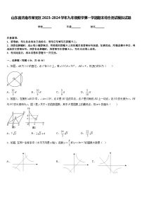 山东省济南市莱芜区2023-2024学年九年级数学第一学期期末综合测试模拟试题含答案