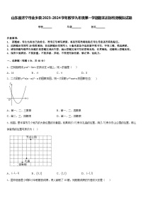 山东省济宁市金乡县2023-2024学年数学九年级第一学期期末达标检测模拟试题含答案