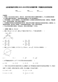 山东省济南市天桥区2023-2024学年九年级数学第一学期期末达标检测试题含答案