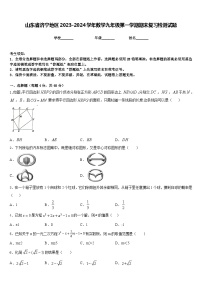 山东省济宁地区2023-2024学年数学九年级第一学期期末复习检测试题含答案