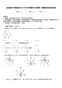 山东省济宁市微山县2023-2024学年数学九年级第一学期期末达标测试试题含答案