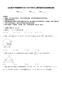 山东省济宁邹城县联考2023-2024学年九上数学期末综合测试模拟试题含答案