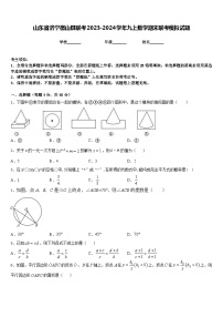 山东省济宁微山县联考2023-2024学年九上数学期末联考模拟试题含答案