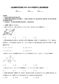 山东省泰安市岱岳区2023-2024学年数学九上期末调研试题含答案